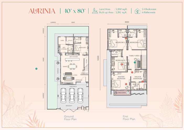 AURINIA 