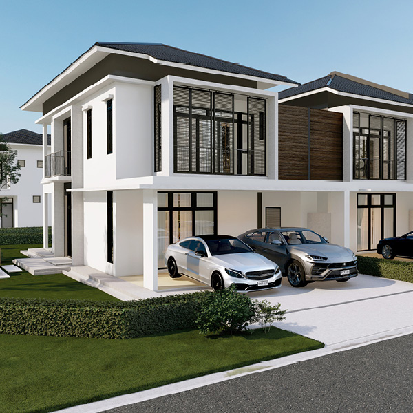 Palmwood 3
