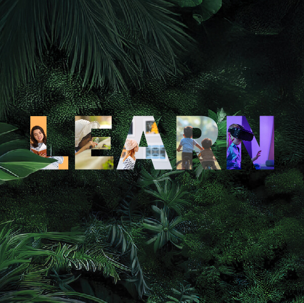 LEARN