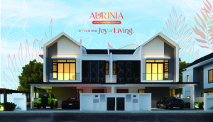 Aurinia