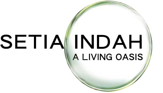 site logo