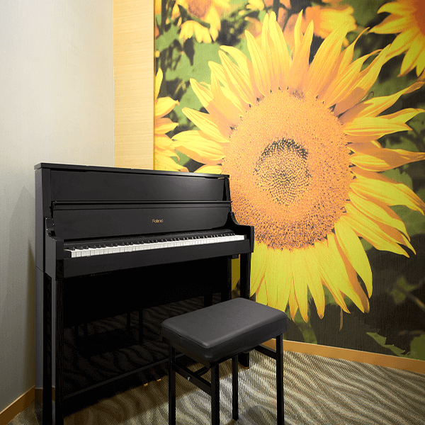 MUSIC STUDIO ROOM 1