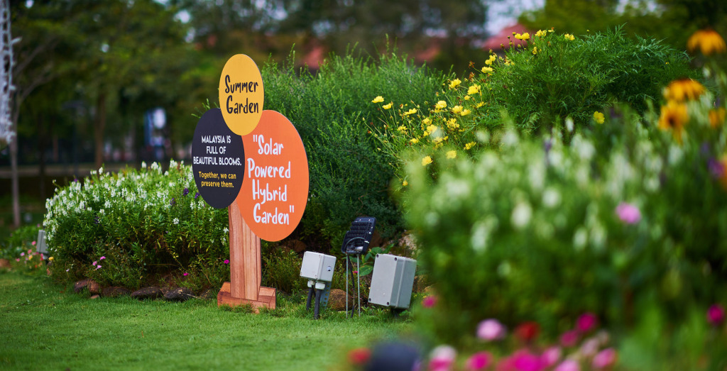 Malaysian Themed Summer Garden