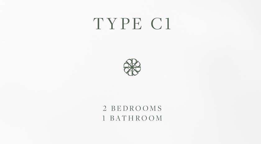Type C1